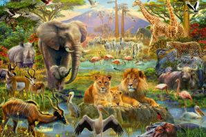 Картинки животные разных стран
