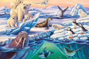 Картинки животных холодных районов