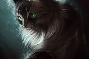 Картинка серый кот