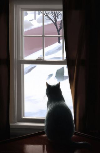 Картинка кота сидящего на окне