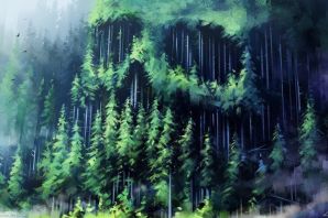 Картинки хвойный лес