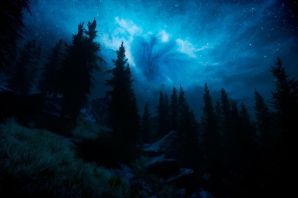 Картинки ночной лес