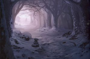 Картинки ночного леса зимой