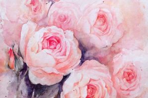 Картинки цветы пионовидные розы