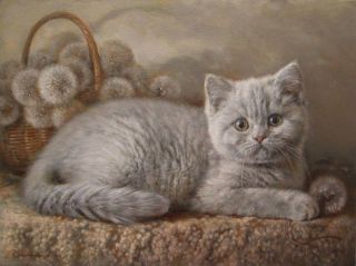 Картинки британские котята