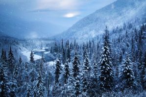 Картинки лес горы зима