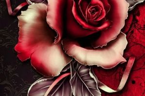 Самые красивые розы картинки