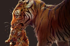 Тигр и кошка картинки