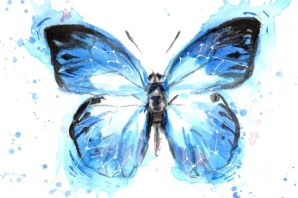Картинки бабочки красивые нарисованные цветные