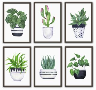 Разрезные картинки комнатные растения
