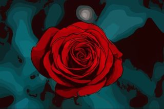 Картинки на заставку розы