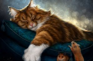 Милые картинки спокойной ночи котики