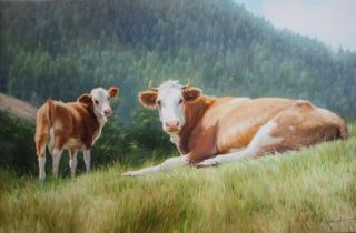 Коровы на лугу картинки