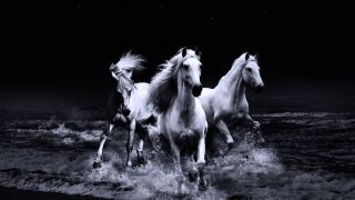Три белых коня картинки