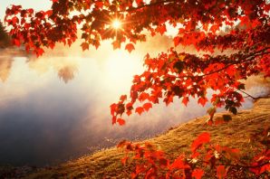Осенние красивые картинки
