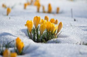 Зимняя весна картинки