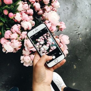 Цветы картинки на телефон