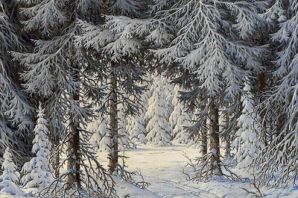Зимний лес картинка рисунок