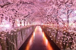 Япония красивые картинки