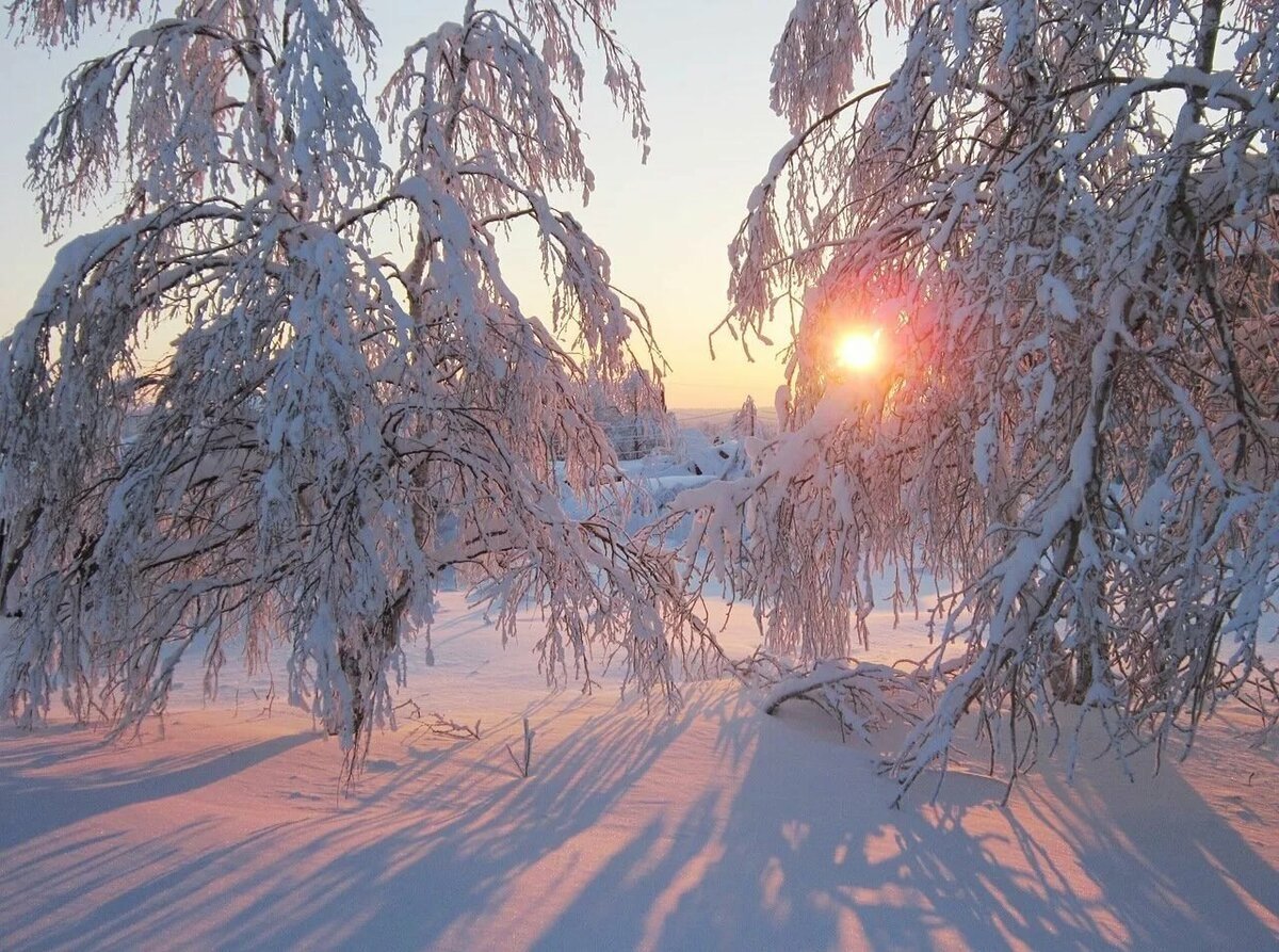 Зимний день зимняя куртка зимнее утро. Зимняя красота. Зимний закат. Зимнее утро. Зимний лес в инее.