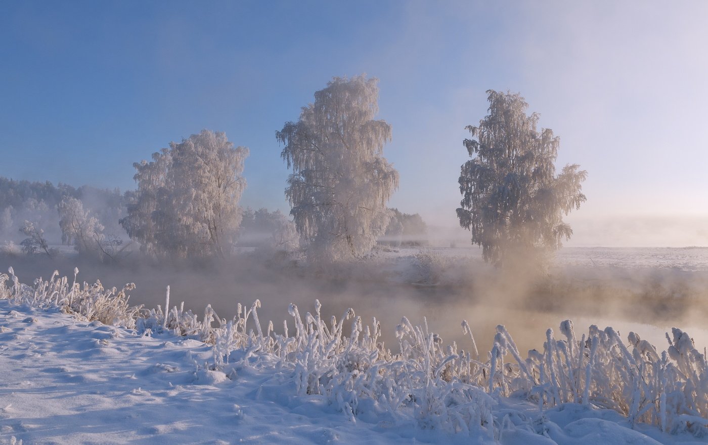Сильный утренний мороз. Зимний туман. Морозное утро. Морозный туман. Туман зимой в деревне.
