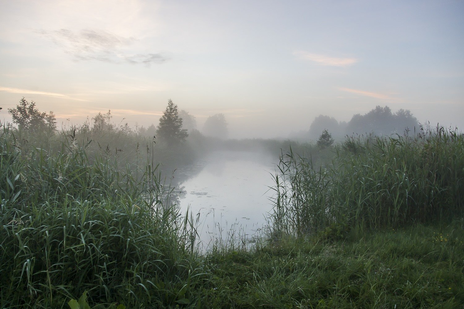 Текст доброе утро туманное. Озеро Леушинский туман. Туманное утро. Доброе туманное утро. Ижевск утро туман.