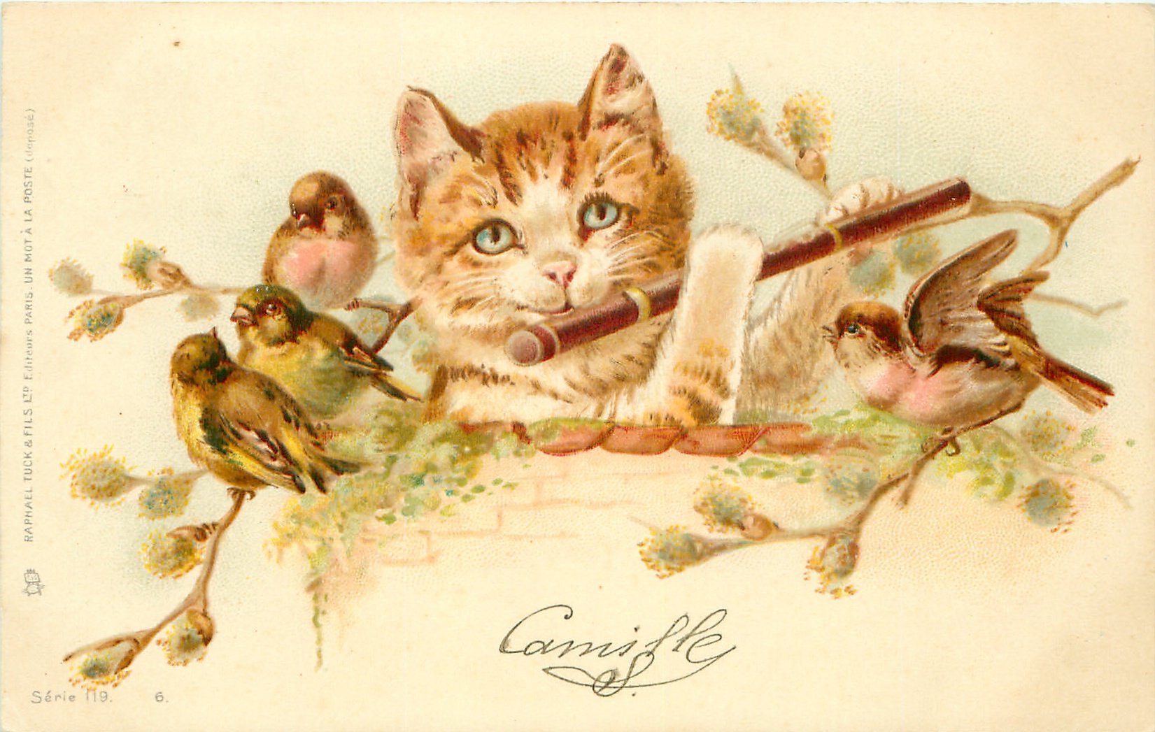 Доброе весеннее утро старинные открытки. Винтажная открытка. Винтажные коты. Ретро открытки. Старые открытки с кошками.