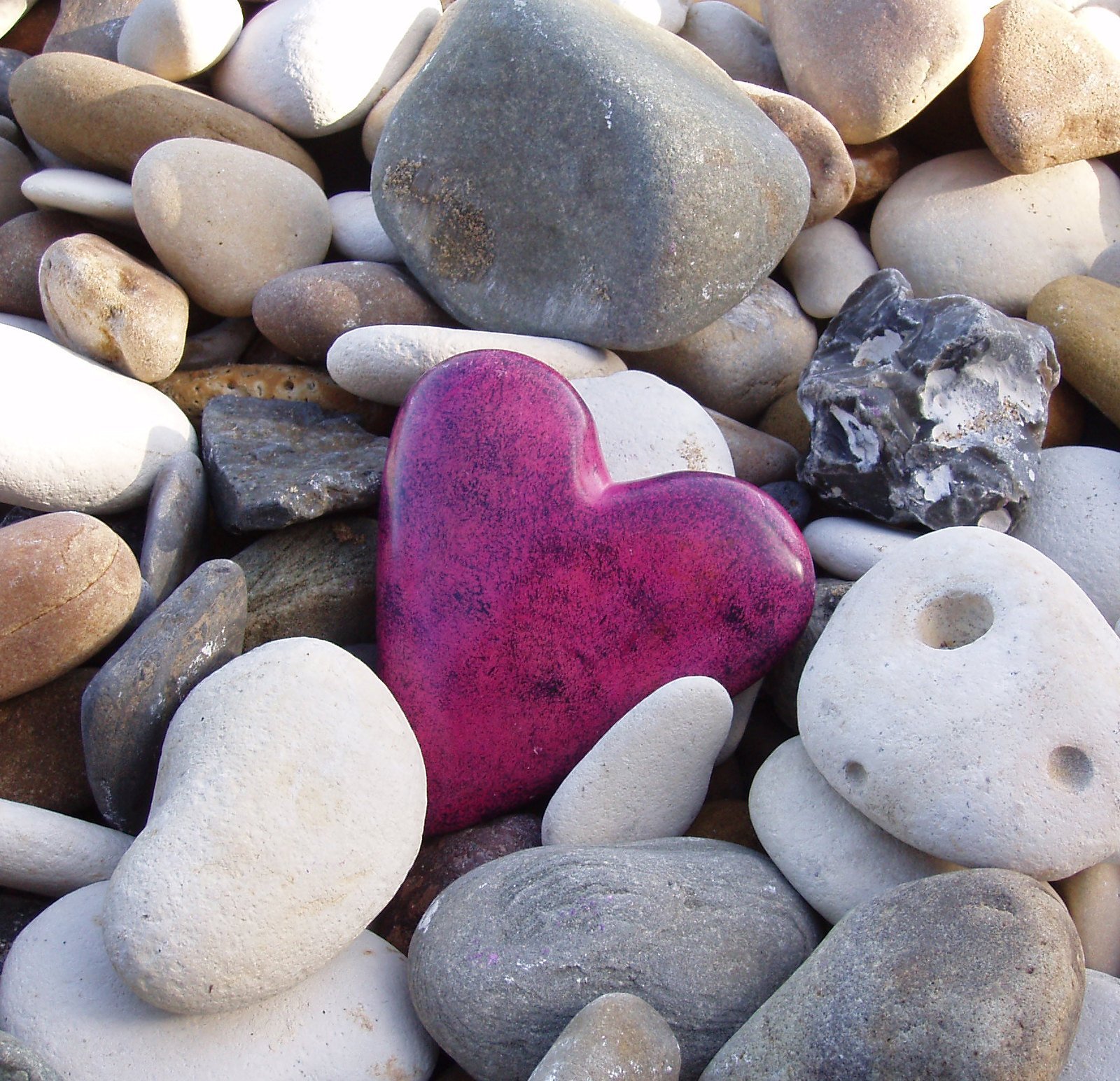 Стало сердце камнем. Красивые камни. Необычные камушки. Разноцветные камни. Море камушки.