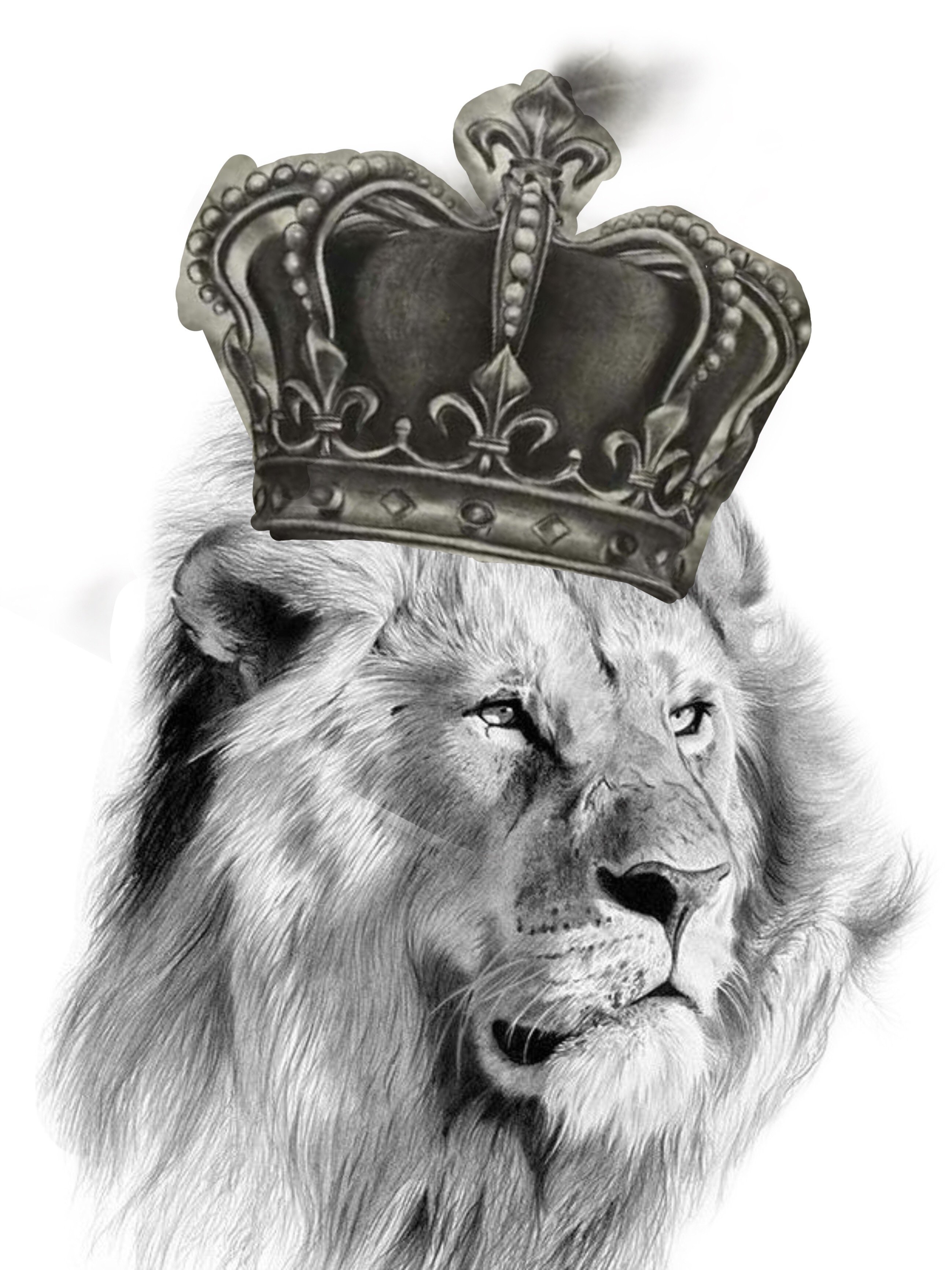 Корона со львом. Лев с короной. Лев с короной на голове. Тату Лев с короной эскизы. Тату Лев с короной.