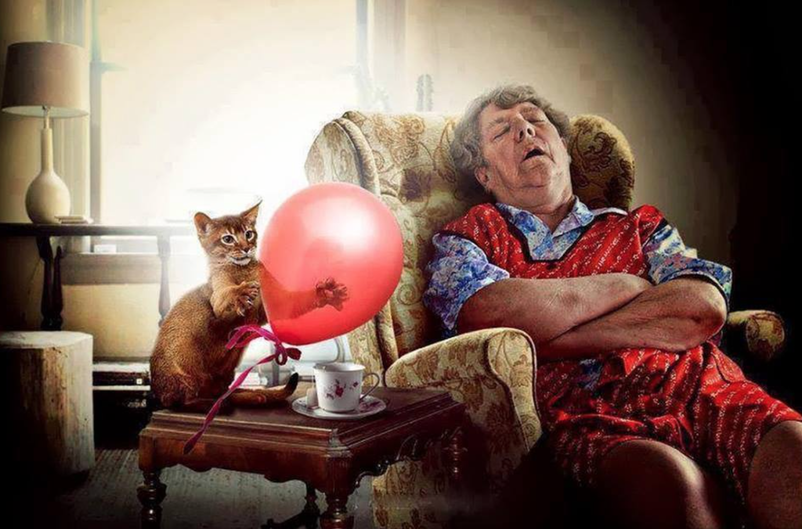 Утро пенсионера. Демотиваторы про утро смешные. Бабушка с котом. Бабушка с котом в кресле.