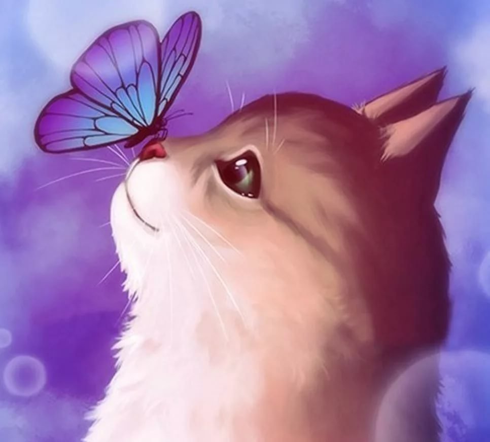 Кошка с бабочкой на носу рисунок