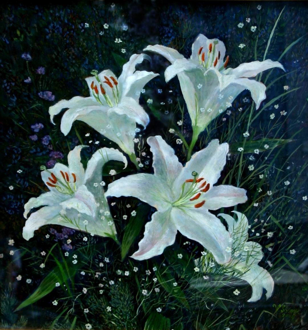 Лилия зимой. Белые лилии в живописи. Сказочные лилии. Зимние лилии. Лилии в снегу.