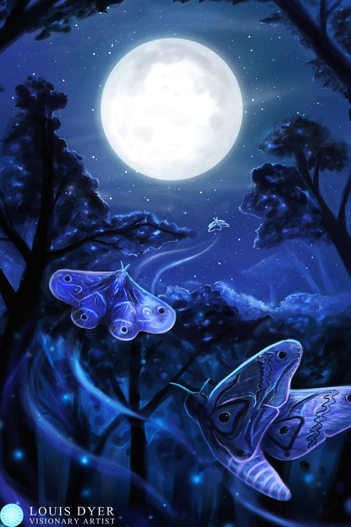 Спящие ночью бабочки. Сказочная ночь. Волшебные бабочки. Бабочка ночью. Сказочный мотылек.