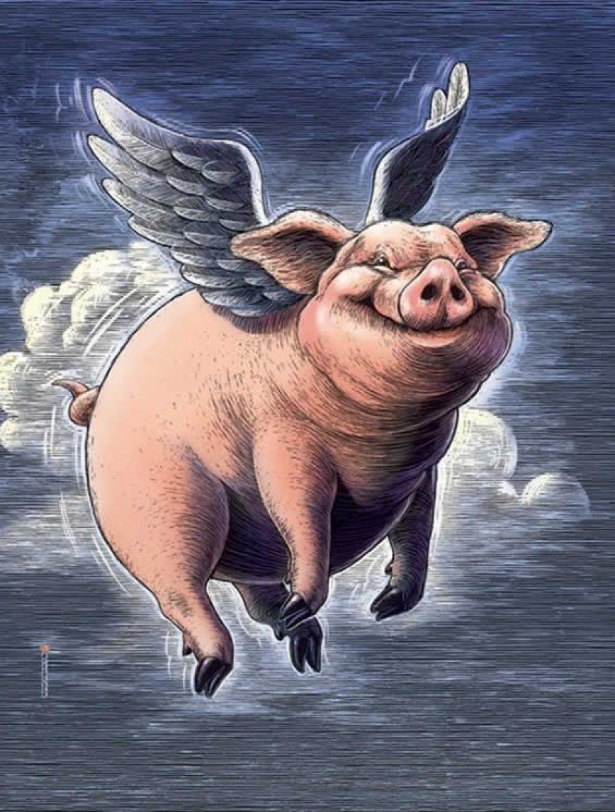 Летающая свинка. Летающий поросёнок. Крылатая свинья. Летающая хрюшка. Свинья с крыльями.