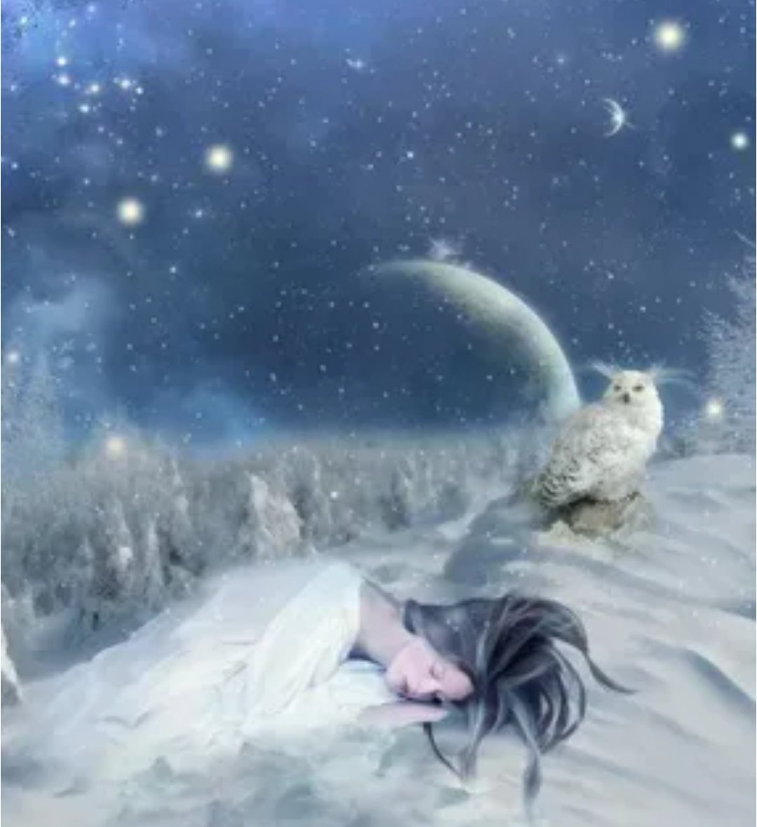 Ночь была теплая светлая. Сказочный сон. Сон снежный сказочный. Зимний сон. Спокойной зимней морозной ночи.