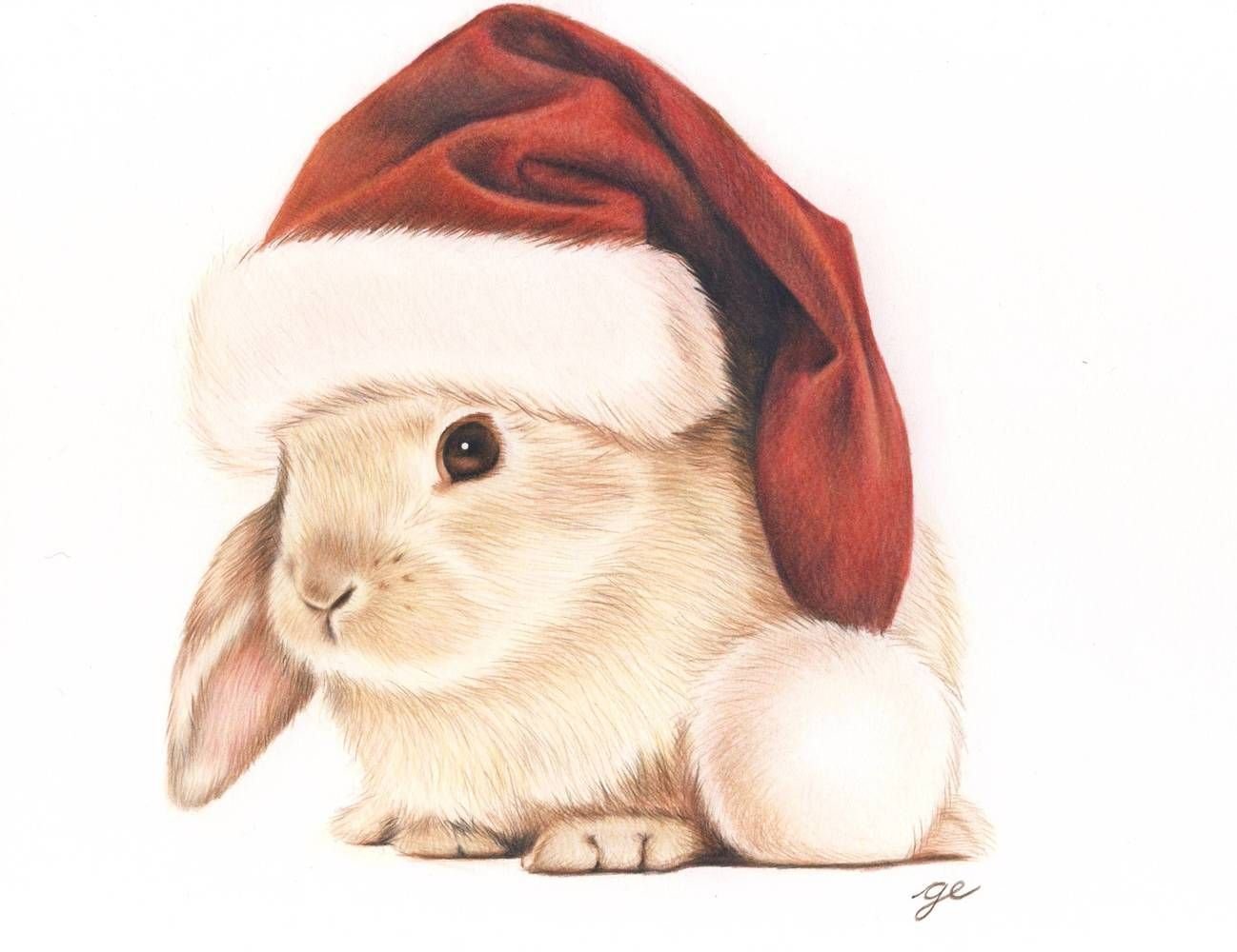 Новым годом год кролика. Новогодний кролик. Еролик в новогоднее шапке. Кролик рисунок. Новогодний заяц.