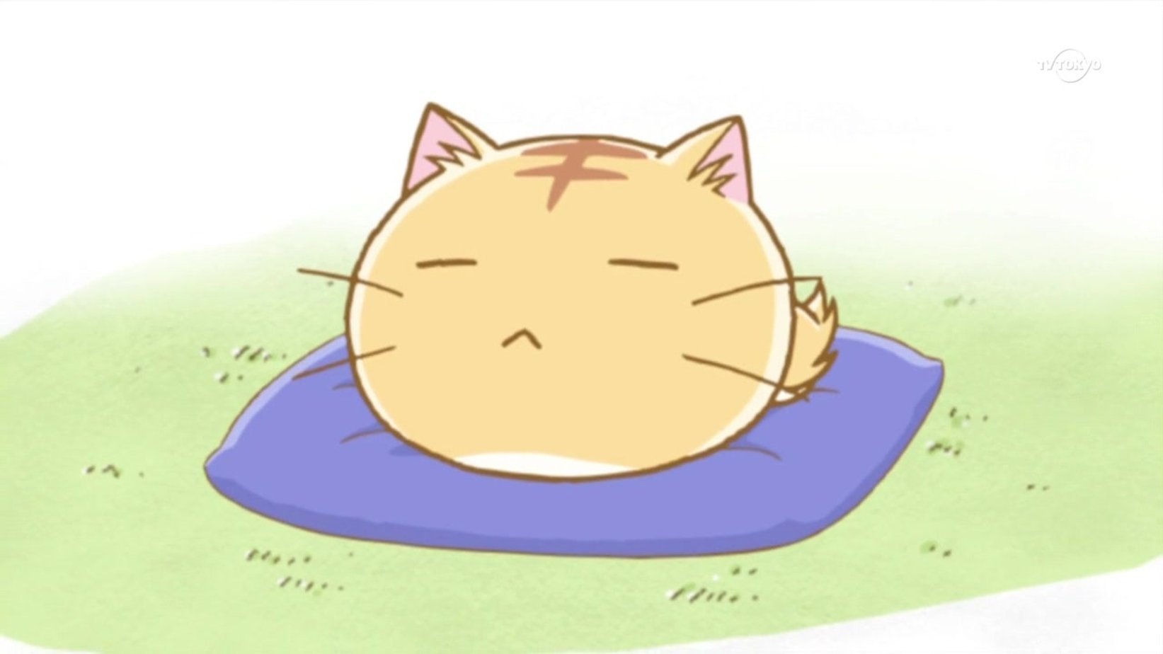 Rule 34 cat nap. Poyopoyo Kansatsu Nikki. Анимешные котики.
