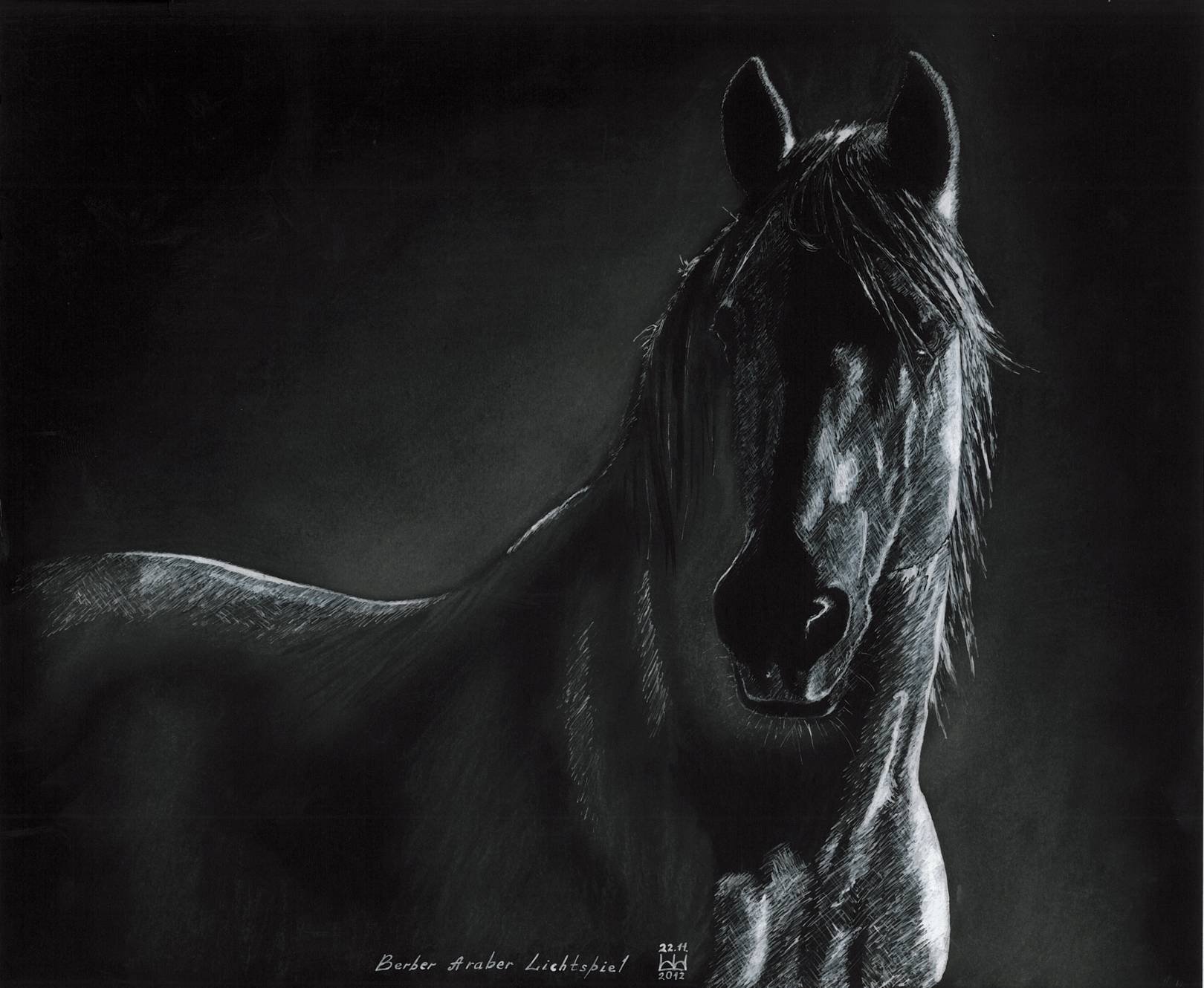 Лошади вытянувшие черные головы и согнувшиеся. Темная лошадка. Конь на черном фоне. Черный конь арт. Лошадь на черном фоне.
