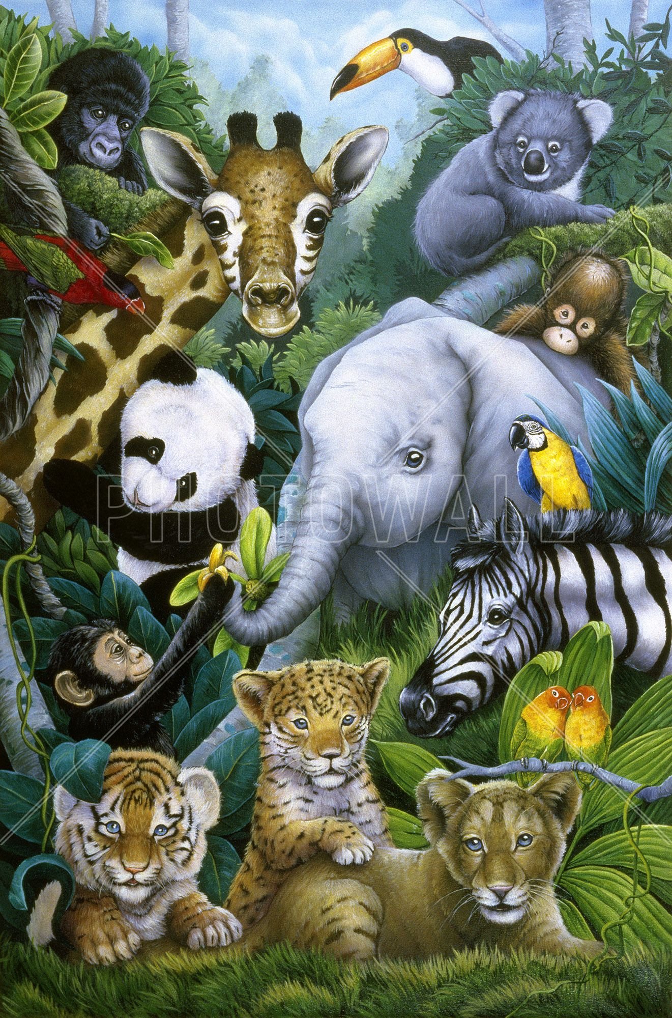 Где много звери. Множество животных. Животные джунглей. Много зверей. Обитатели джунглей для детей.