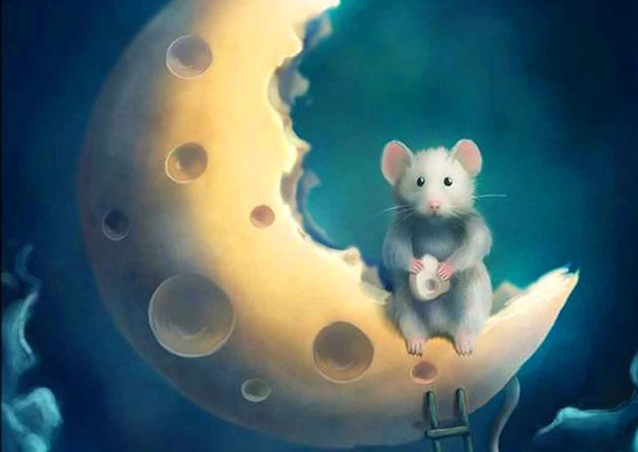 Спокойной мыши. Мышь на Луне. Спокойной ночи мышка. Мышь фэнтези. Мышь и сыр арт.