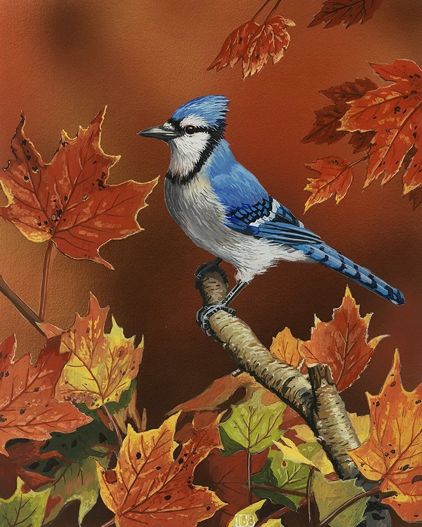 Fall bird. Осенние птицы. Осень птицы. Птицы осенью. Птицы на осенних ветках.