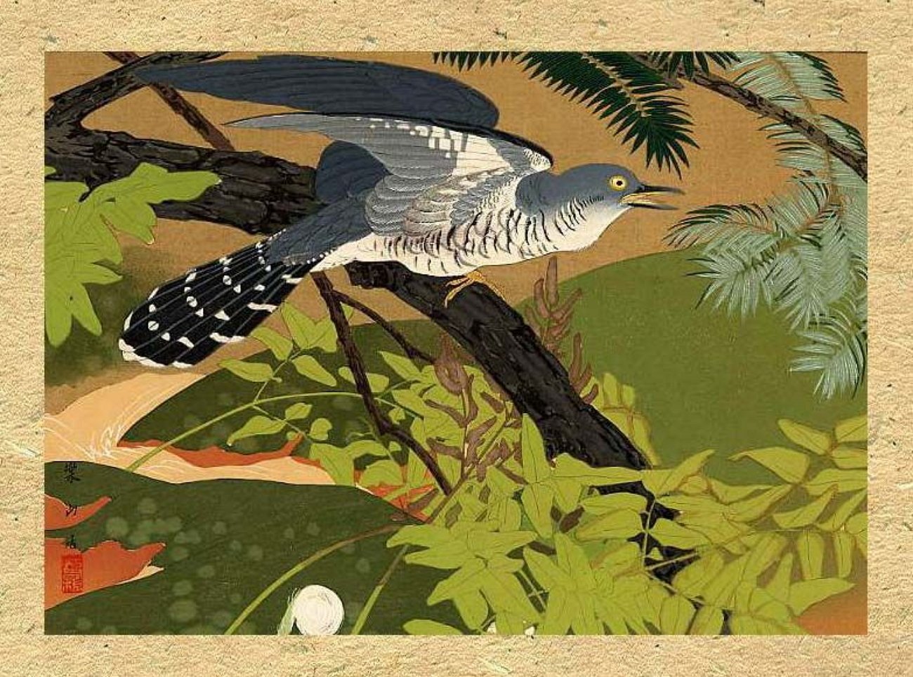 Кукушка мифология. Тсутия Ракудзан. Японская Ксилография птицы. Японская гравюра. Кукушка живопись.