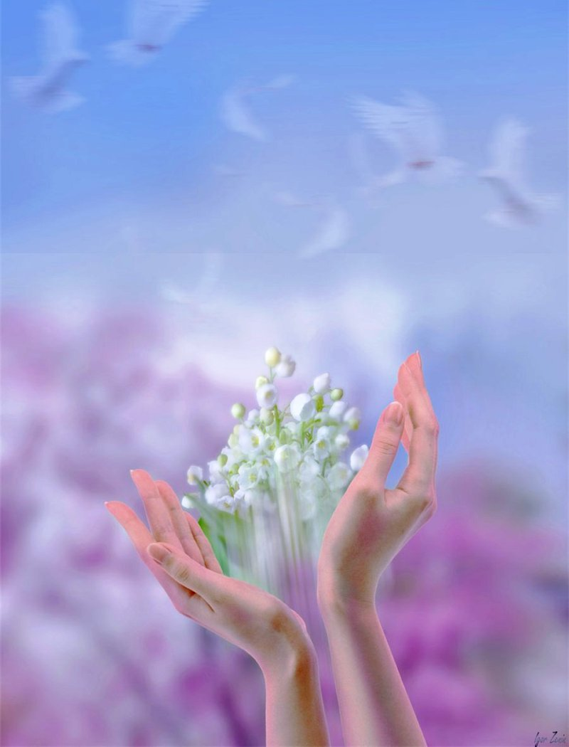 Добром расположении духа. Весенние цветы в руках. Цветы в ладонях. Нежные цветы в руках.