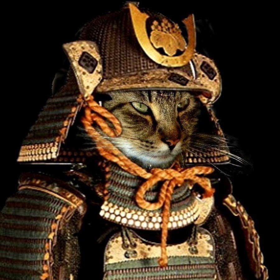 Кот в самурайских доспехах