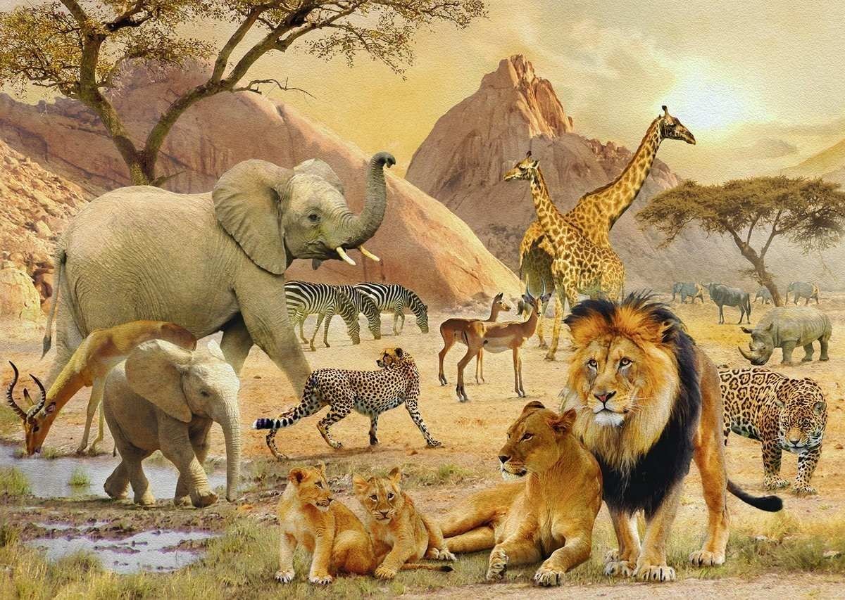 Где много звери. Множество животных. Животные Африки для детей. Обитатели саванны. Звери Африки для детей.