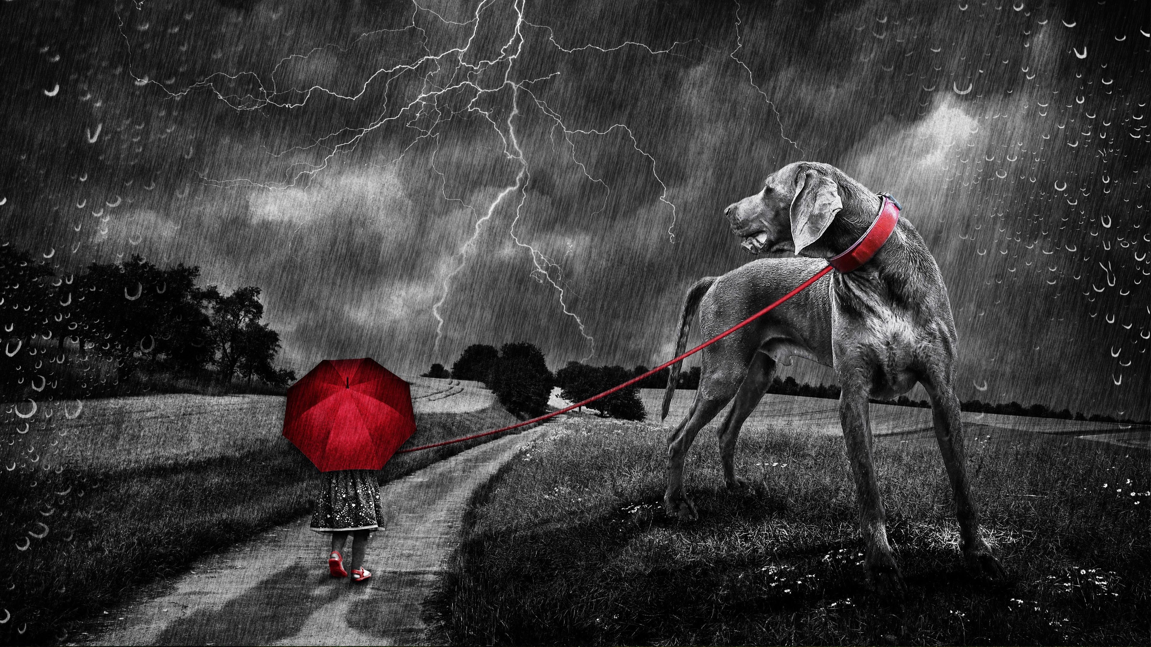 Собака гроза. Собака и гроза. Человек с собакой под дождем. Одиночество с собакой. Щенок под дождем.