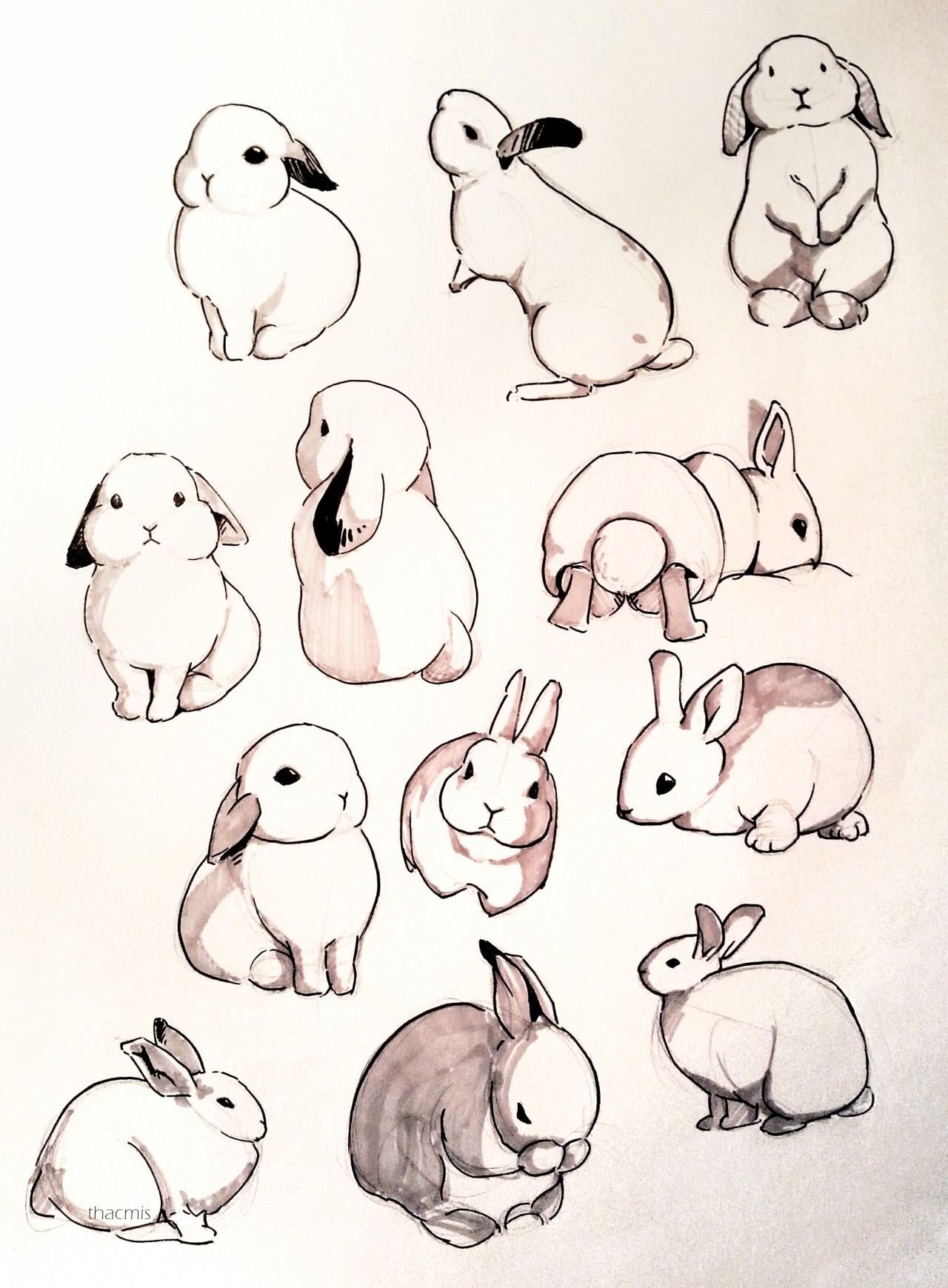 Картинки простых животных