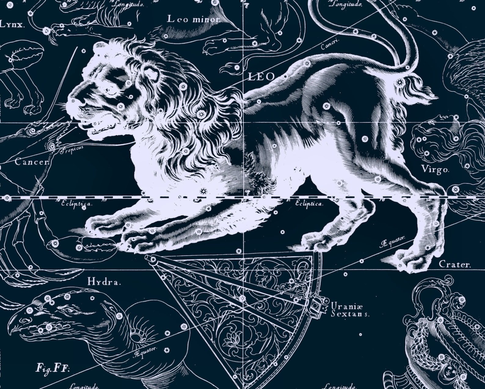 Фигура льва созвездие. Созвездие Лев гевелий. Созвездие Льва на карте звездного неба.