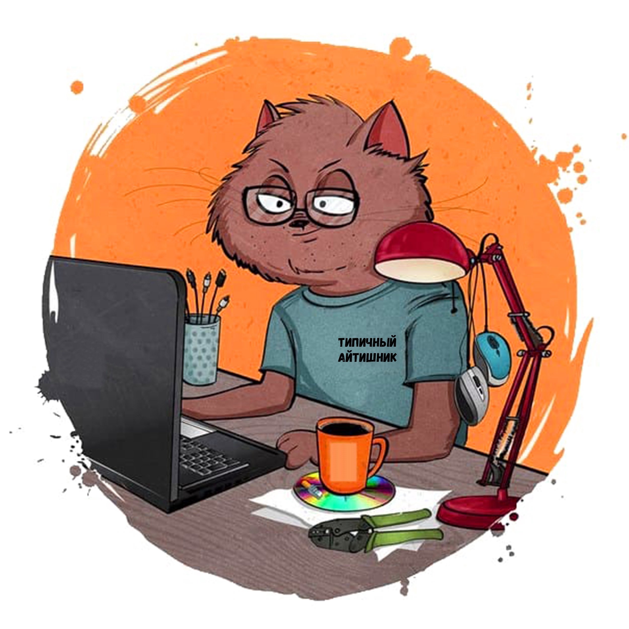 Кот разработчик. Кот программист. Кот Компьютерщик. Аватар программиста. Аватарка программиста.