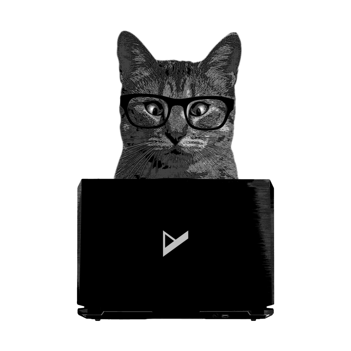 Кот на аву. Котик с ноутбуком. Котики айтишники. Кошка программист.